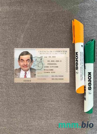 Chile licencja kierowcy photolook